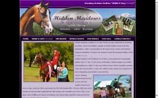 Hidden Meadows Arabians