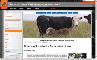 Breeds of Livestock - Andalusian