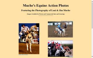 Muche's Equine Action Photos