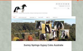 Surrey Springs Gypsy Cobs