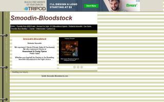 Smith-Smoodin Bloodstock / Thunder Run Stables