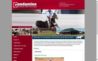 Condamine Australian Stock Horse Stud