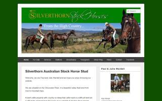 Silverthorn Australian Stock Horses