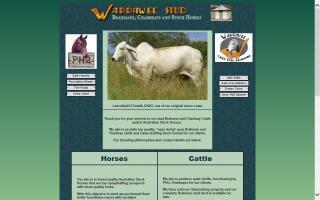 Warrawee Stud / Hartigans Stock Horses