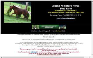 Alaska Miniature Horses