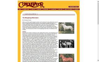 Conquistador: Breeds - Mangalarga Marchador