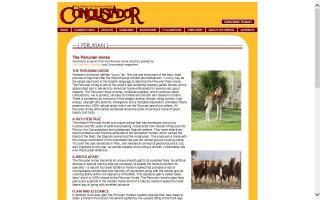 Conquistador: Breeds - Peruvian Horse
