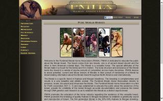 Purebred Morab Horse Association - PMHA