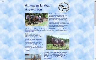 American Brabant Association