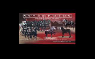 Pennwoods Percherons