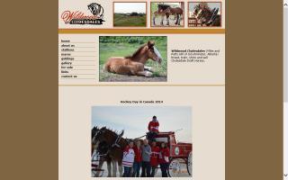 Seven Hills Clydesdales
