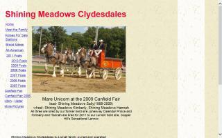 Shining Meadows Clydesdales