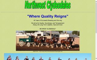 Northwest Clydesdales