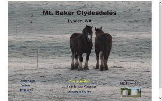 Mt Baker Clydesdales