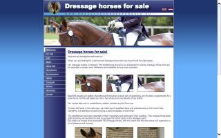 Dressage Horses for Sale / WesTrade Stables B.V.