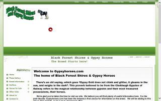 Black Forest Shires & Gypsy Horses