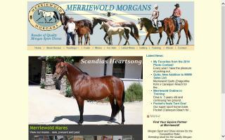 Merriewold Morgan Horses