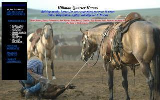 Hillman Quarter Horse Ranch