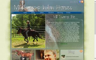Amazon.com: Equestrian Sports