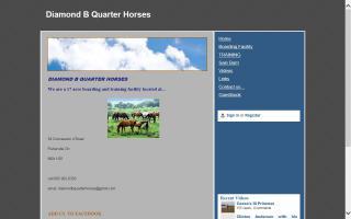 Diamond B Quarter Horses