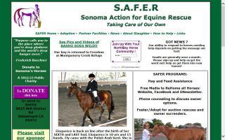 Sonoma Action For Equine Rescue - SAFER