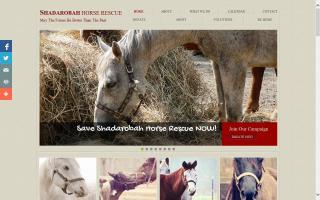 Shadarobah Horse Rescue