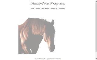 Tripping Horse Photography, LLC / Nichole Rea Krysil