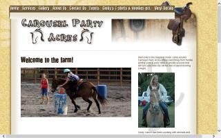 Carousel Party Acres