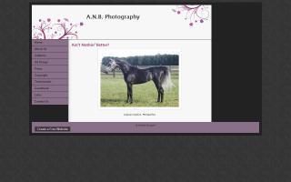 A.N.B. Photography