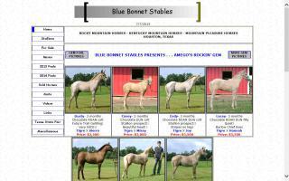 Blue Bonnet Stables