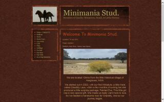 Minimania Stud