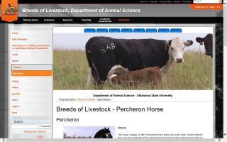 Breeds of Livestock - Percheron