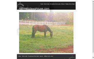 Lari's Riding Lessons and Camp