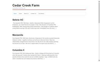 Cedar Creek Farm Andalusians