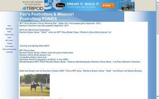 Fair's Foxtrotters & Missouri Foxtrotting Ponies