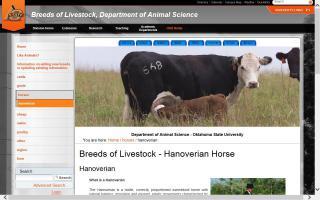 Breeds of Livestock - Hanoverian