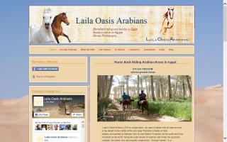 Laila's Oasis Arabians