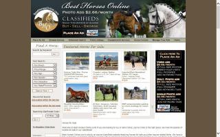 BestHorsesOnline.com