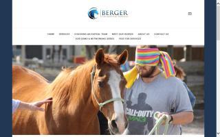 Berger Counseling Services