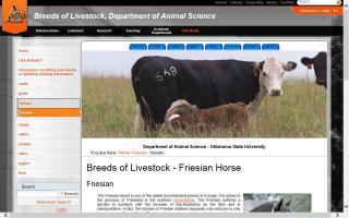 Breeds of Livestock - Friesian