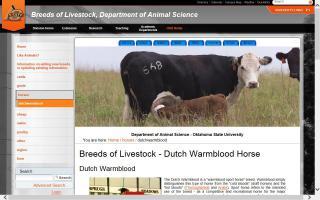 Breeds of Livestock - Dutch Warmblood