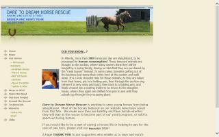 Dare To Dream Horse Rescue