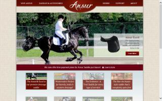 Ansur Saddle