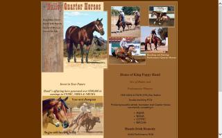 Dailey Quarter Horses