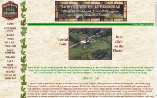 Sawyer Creek Appaloosas