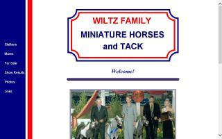 Wiltz Family Miniature Horses and Tack