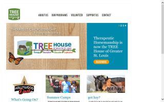 Therapeutic Horsemanship - TH