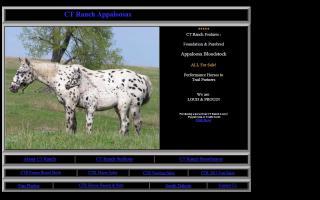 CT Ranch Appaloosas - CTR