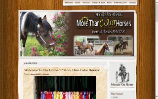 More Than Color Horses