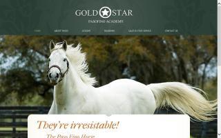 Gold Star Paso Fino Academy